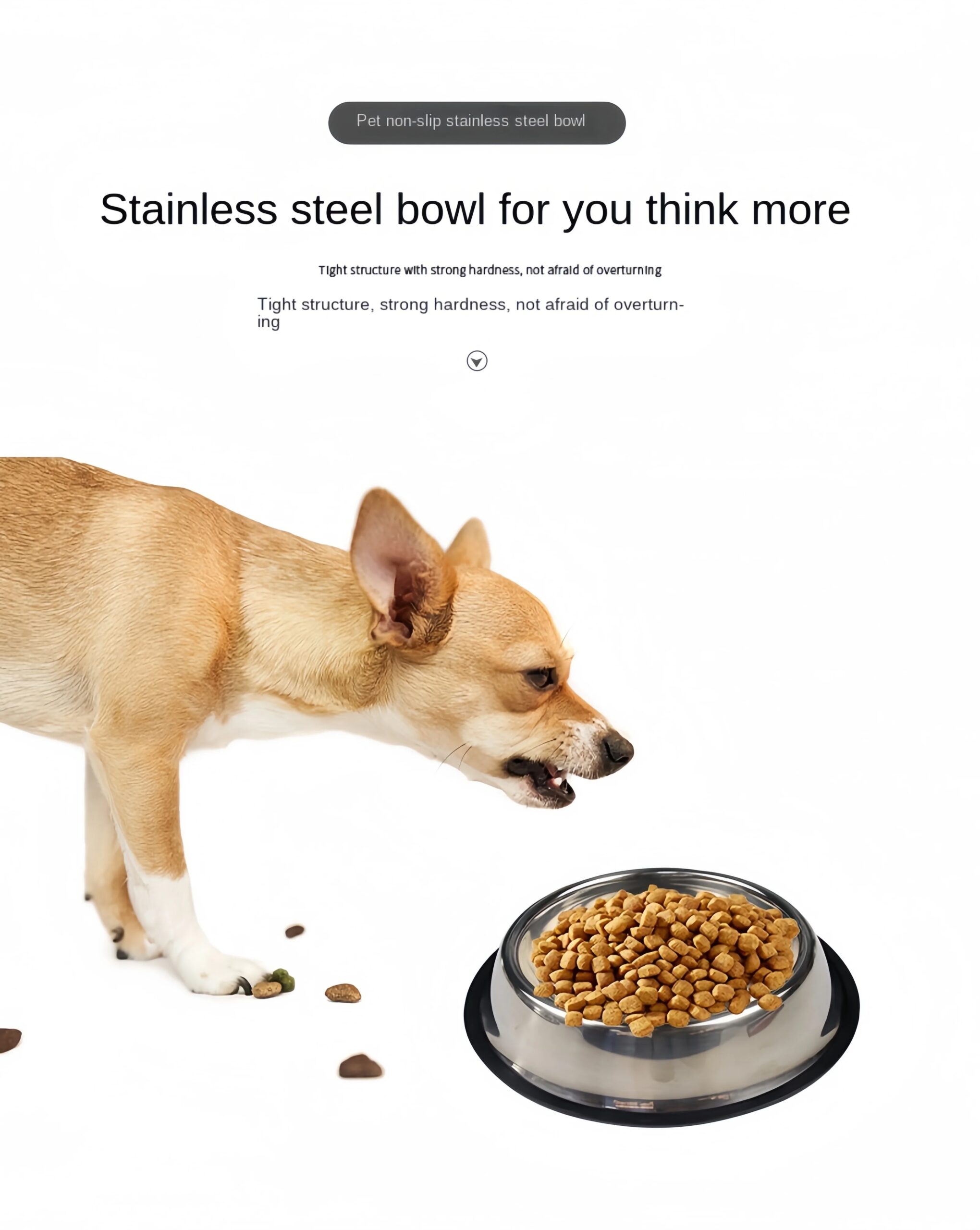 Cat Stainless Steel Bowl Pet Feeding Bowl Cat and Dog Drinking Bowl Metal Feeder Bowl Durable Easy To Clean 6 Sizes