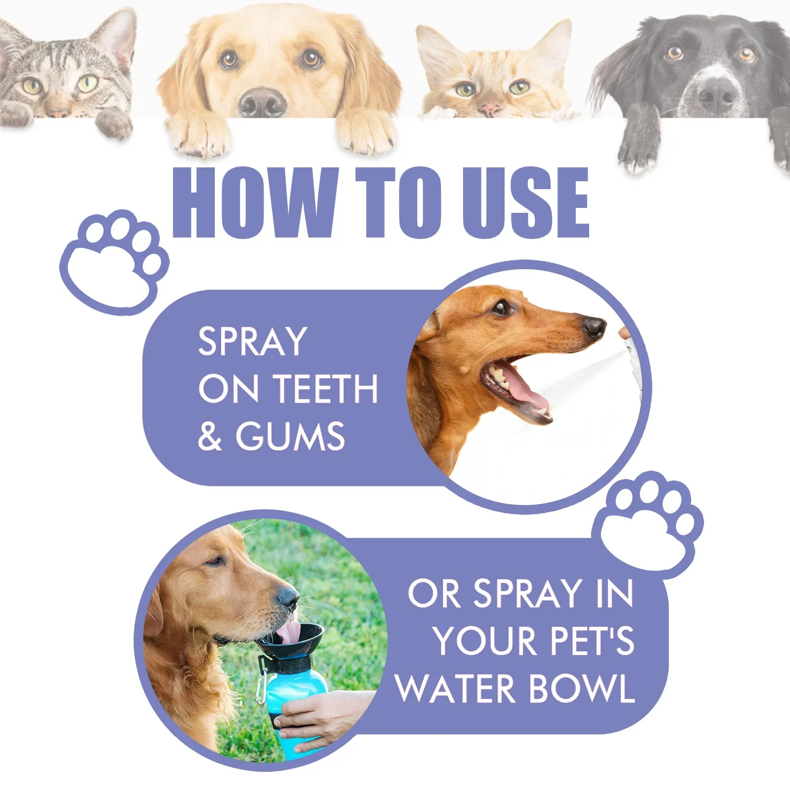 Pet Teeth Cleaning Spray Dog Cat Teeth Calculus Stain Remover Bad Breath Treatment Pet Oral Care Tool