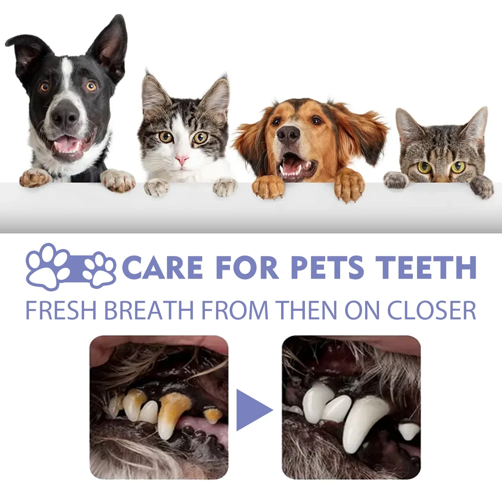 Pet Teeth Cleaning Spray Dog Cat Teeth Calculus Stain Remover Bad Breath Treatment Pet Oral Care Tool