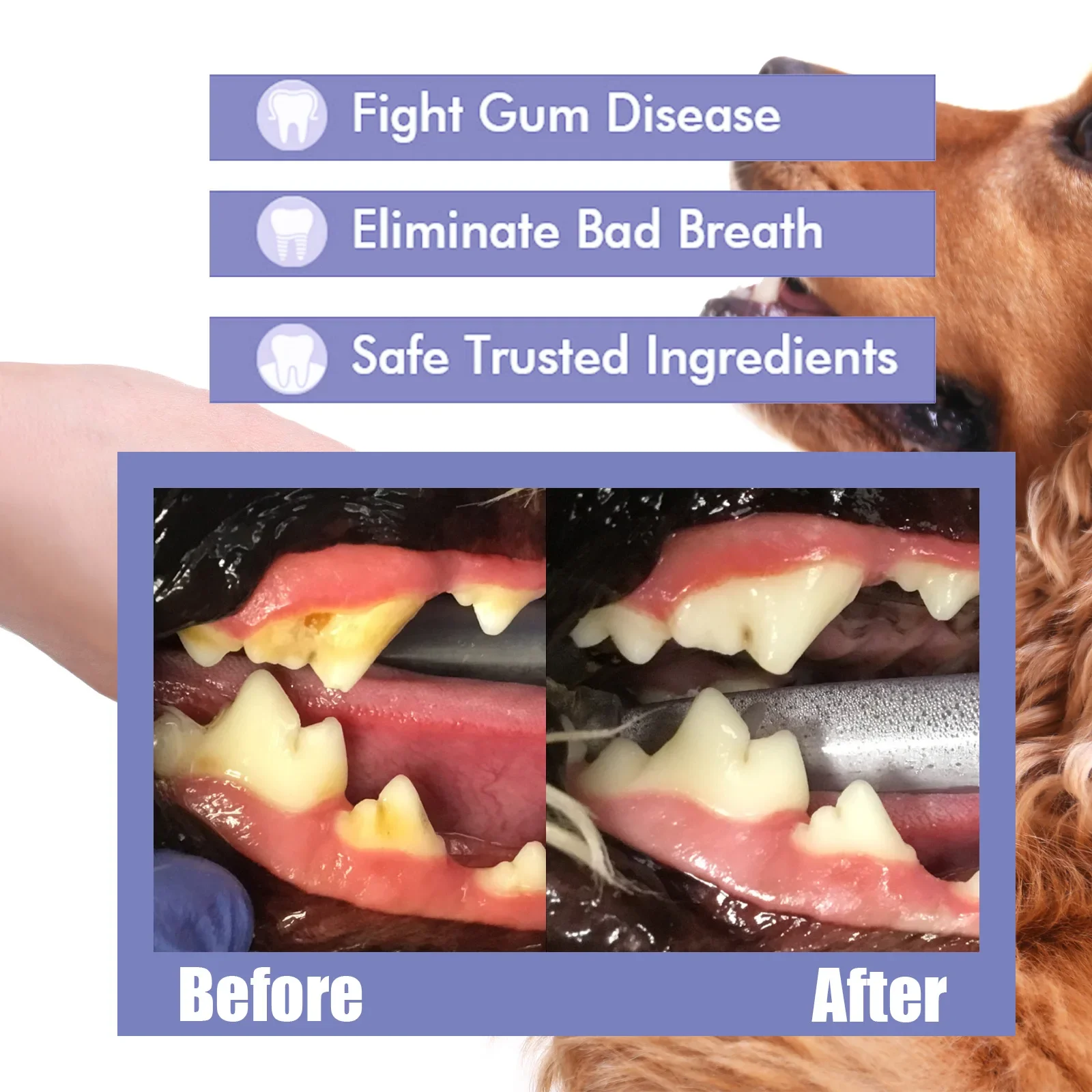 Pet Teeth Cleaning Spray Dog Cat Teeth Calculus Stain Remover Bad Breath Treatment Pet Oral Care Tool