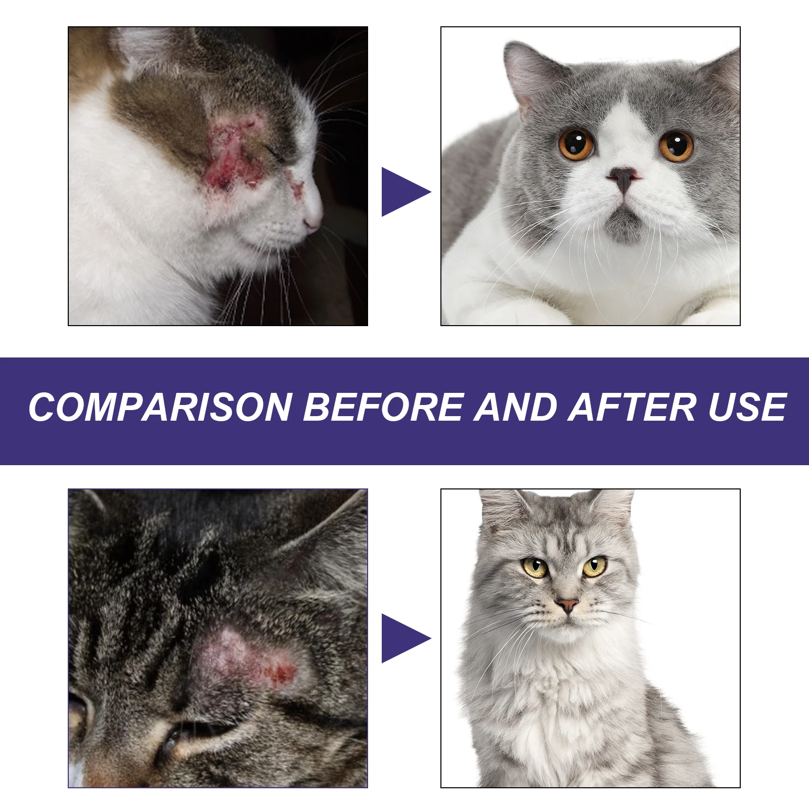 Pet Antimicrobial Spray for Skin Wound Care and Itch Relief