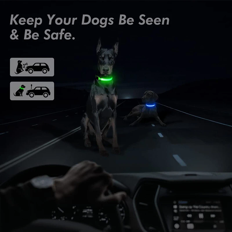 USB Rechargeable Luminous Collar Adjustable Led Glowing Dog Collar for Large Small Dogs Cat Night Light Collar Pet Safety