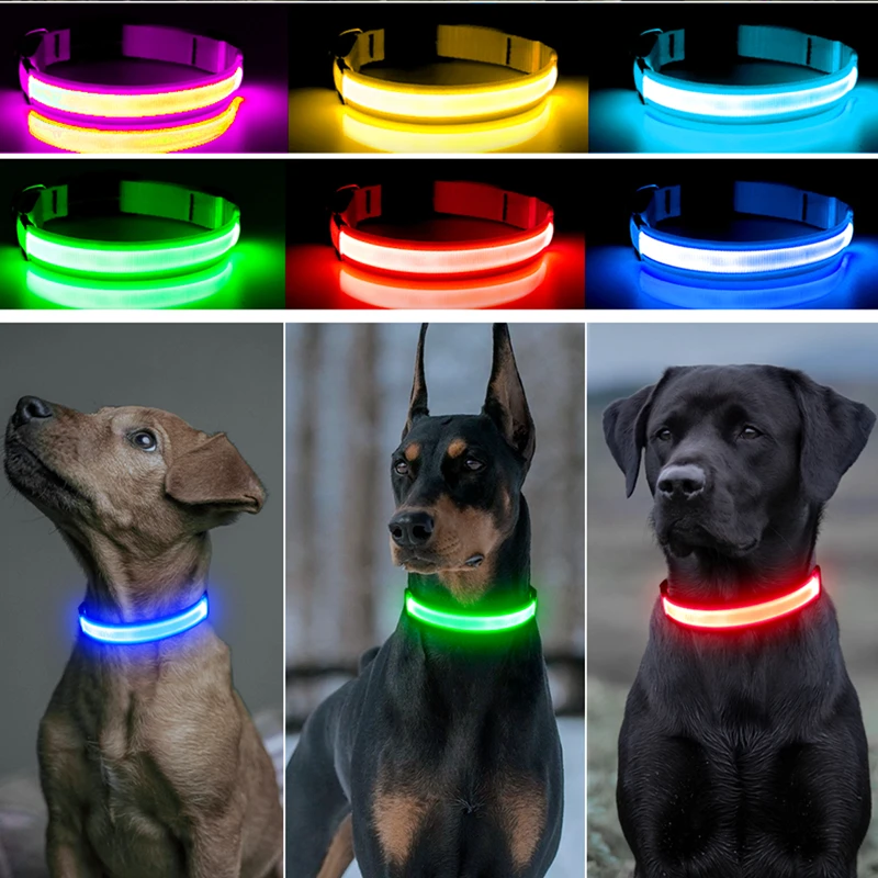 USB Rechargeable Luminous Collar Adjustable Led Glowing Dog Collar for Large Small Dogs Cat Night Light Collar Pet Safety