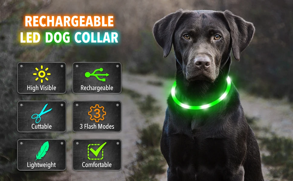 USB Rechargeable Luminous Collar Adjustable Led Glowing Dog Collar for Large Small Dogs Cat Night Light Collar Pet Safety