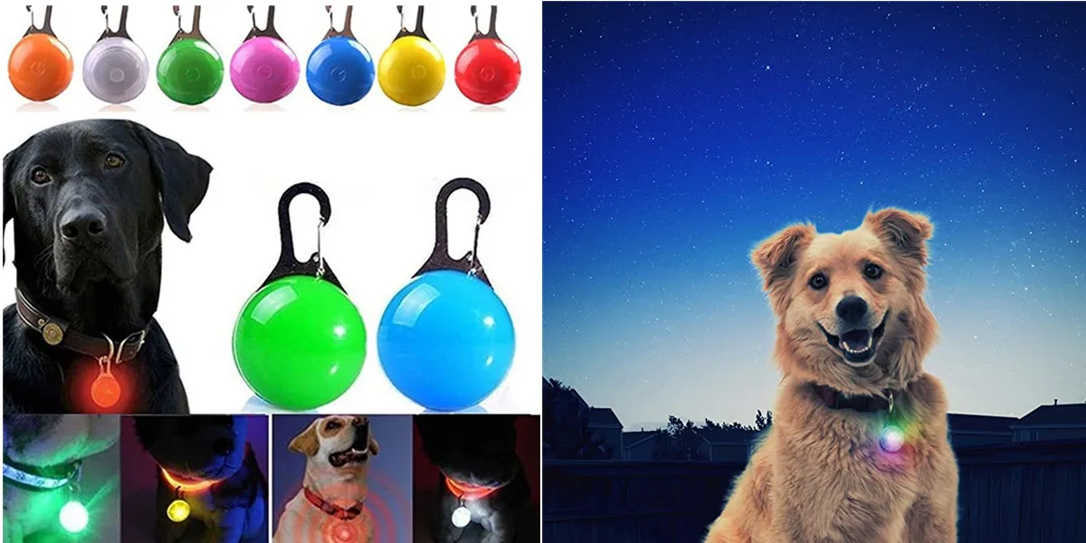 USB Rechargeable Luminous Collar Adjustable Led Glowing Dog Collar for Large Small Dogs Cat Night Light Collar Pet Safety