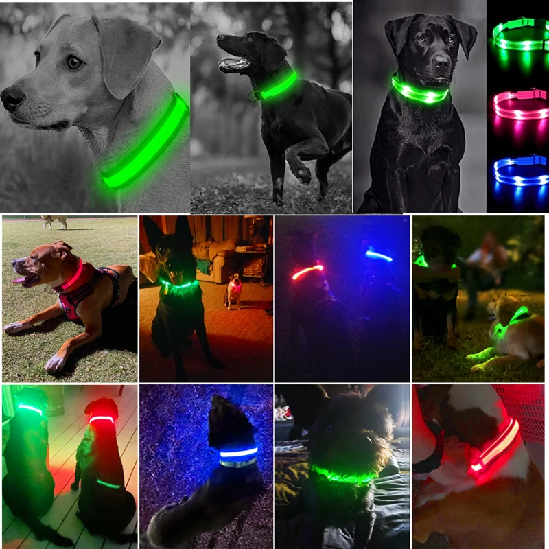 USB Rechargeable Luminous Collar Adjustable Led Glowing Dog Collar for Large Small Dogs Cat Night Light Collar Pet Safety