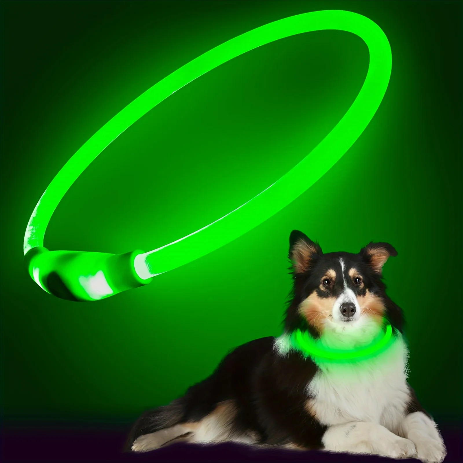 Pet Dog LED Light Collar Luminous Anti-Lost Dog Collar USB Rechargeable Dog Necklace Collar