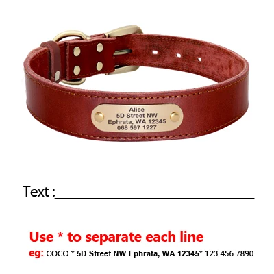 Custom Leather Dog Collar Leash Set Personalized Pet Collar Leash Free Engraved Nameplate For Small Medium Large Dogs