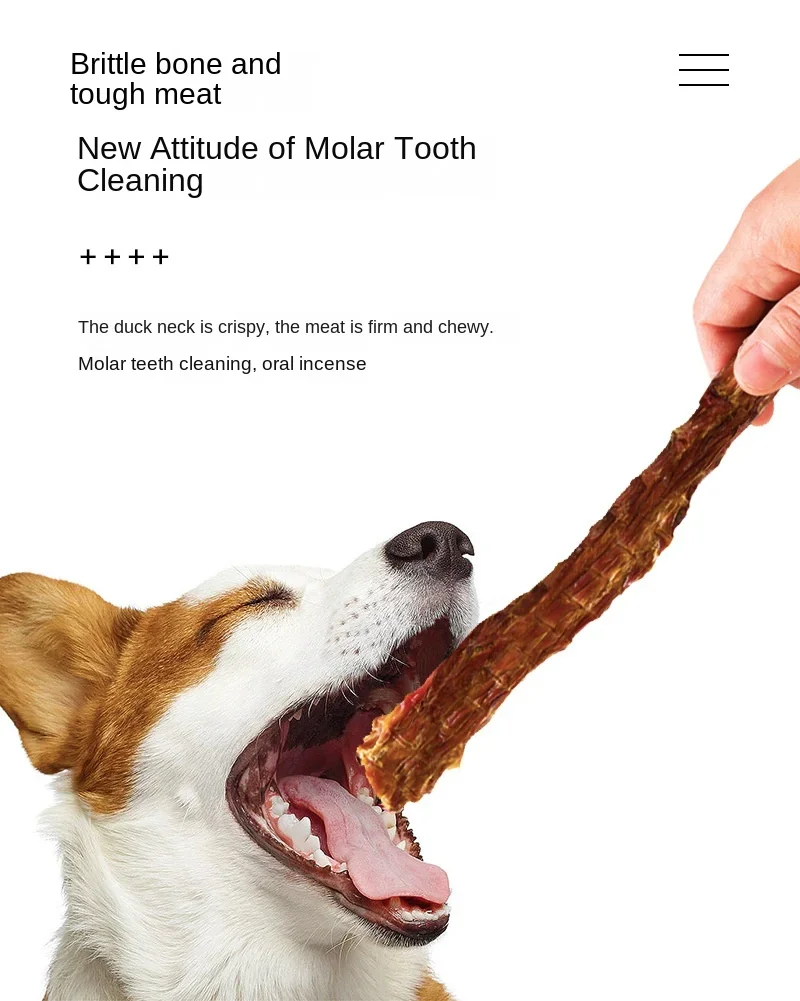 Dog Snacks Air Dried Duck Neck Dog Chew Training Food Tooth Cleaning Bone Molar Bite-resistant Dog Snacks Puppy Molar Stick